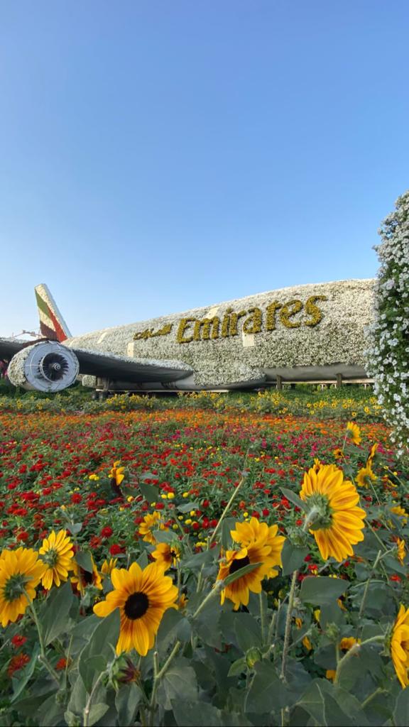 Beleza natural em Dubai o Miracle Garden