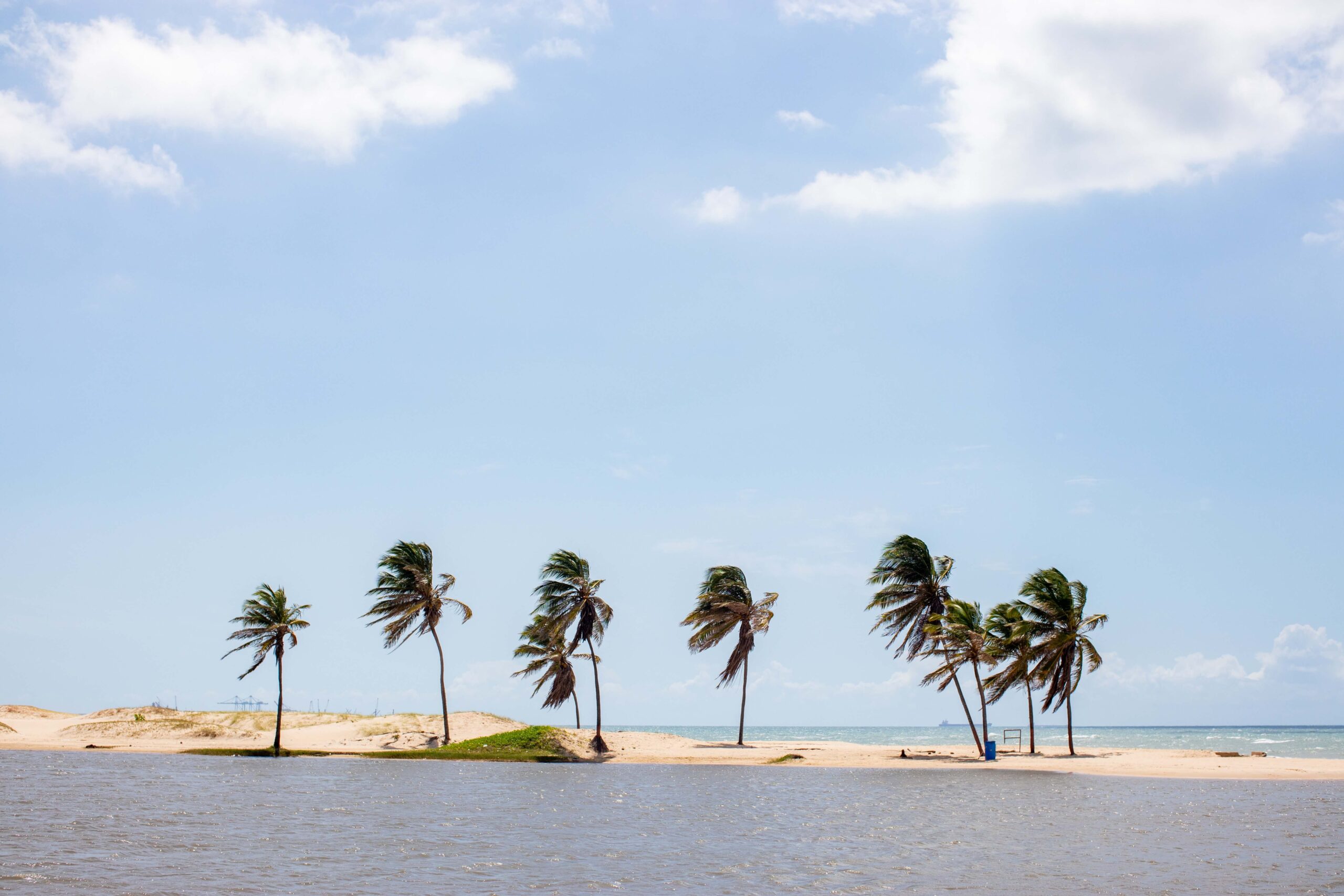 Mar, coqueiros e areia na praia de Cumbuco no Ceará.