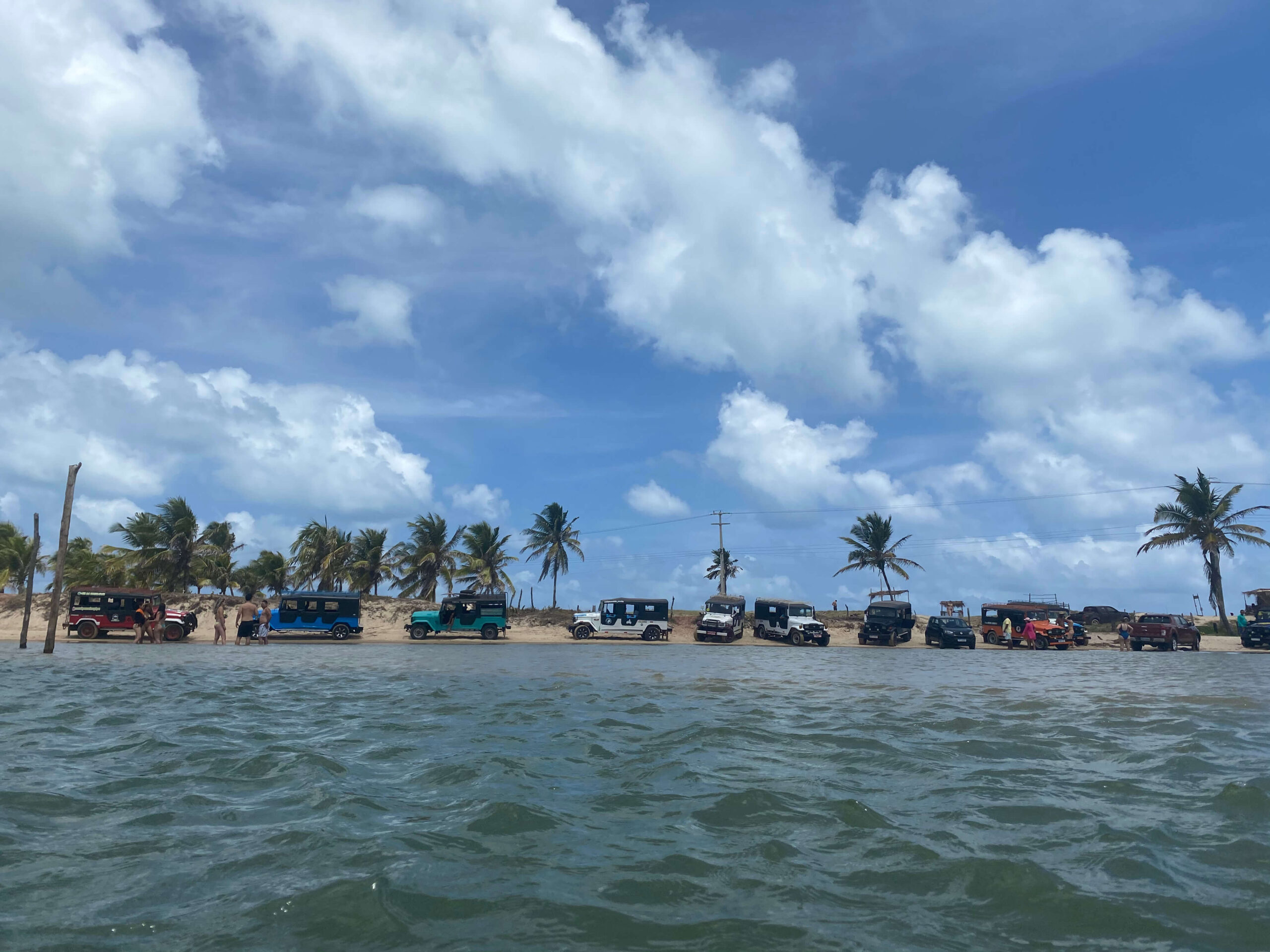 Jeeps de passeio e coqueiro em frente ao mar em pipa