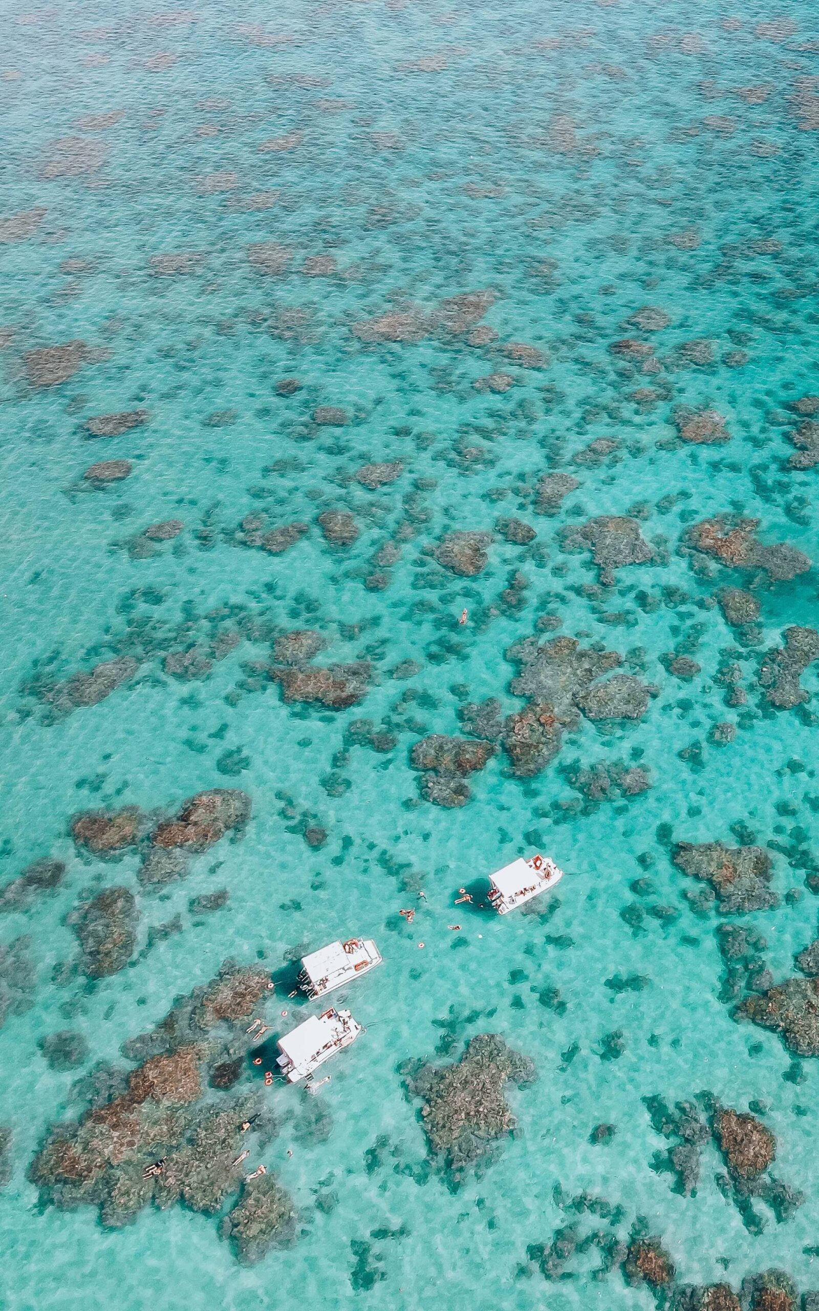 parrachos de maracajau