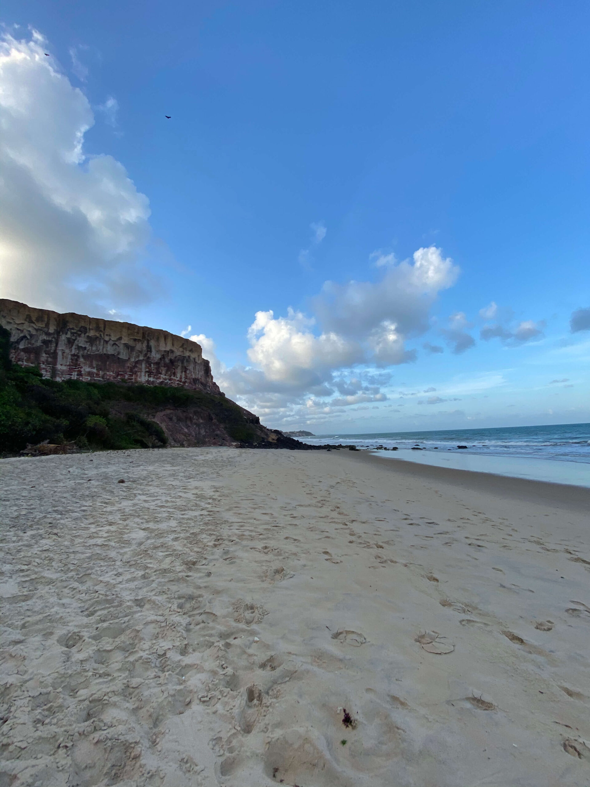 Praia em Pipa com falásias ao fundo