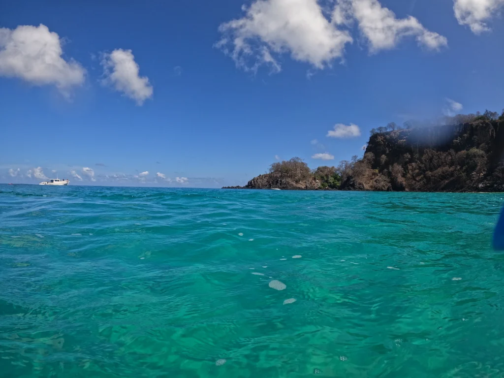 mergulho fernando de noronha