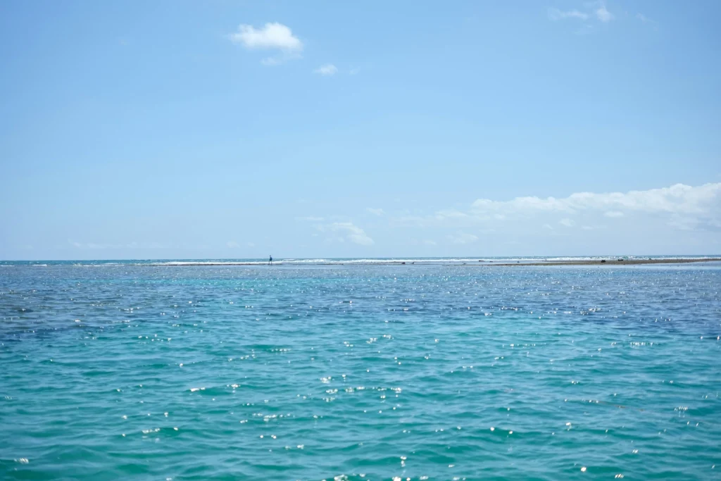 porto de galinhas